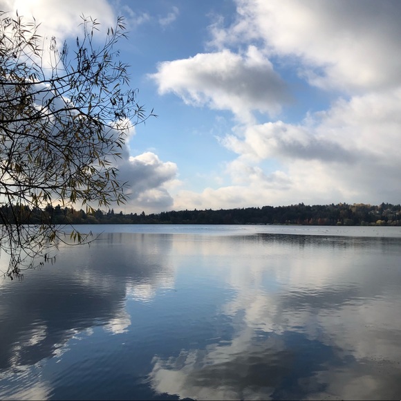 Meet your Posher, Bremmie Vintage - Picture 8 of 8